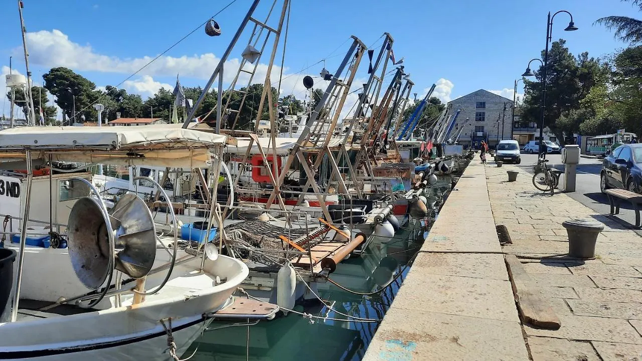 Old Harbour Apartment Novigrad  Croatia